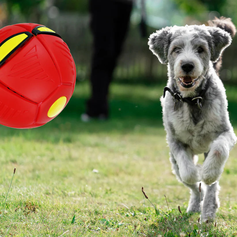 PELOTA PLANA FALT BALL DISCO LED.